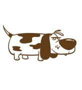 Dog boarding in Petaluma