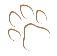illustrated dog paw print representing petaluma doggy daycare logo or icon