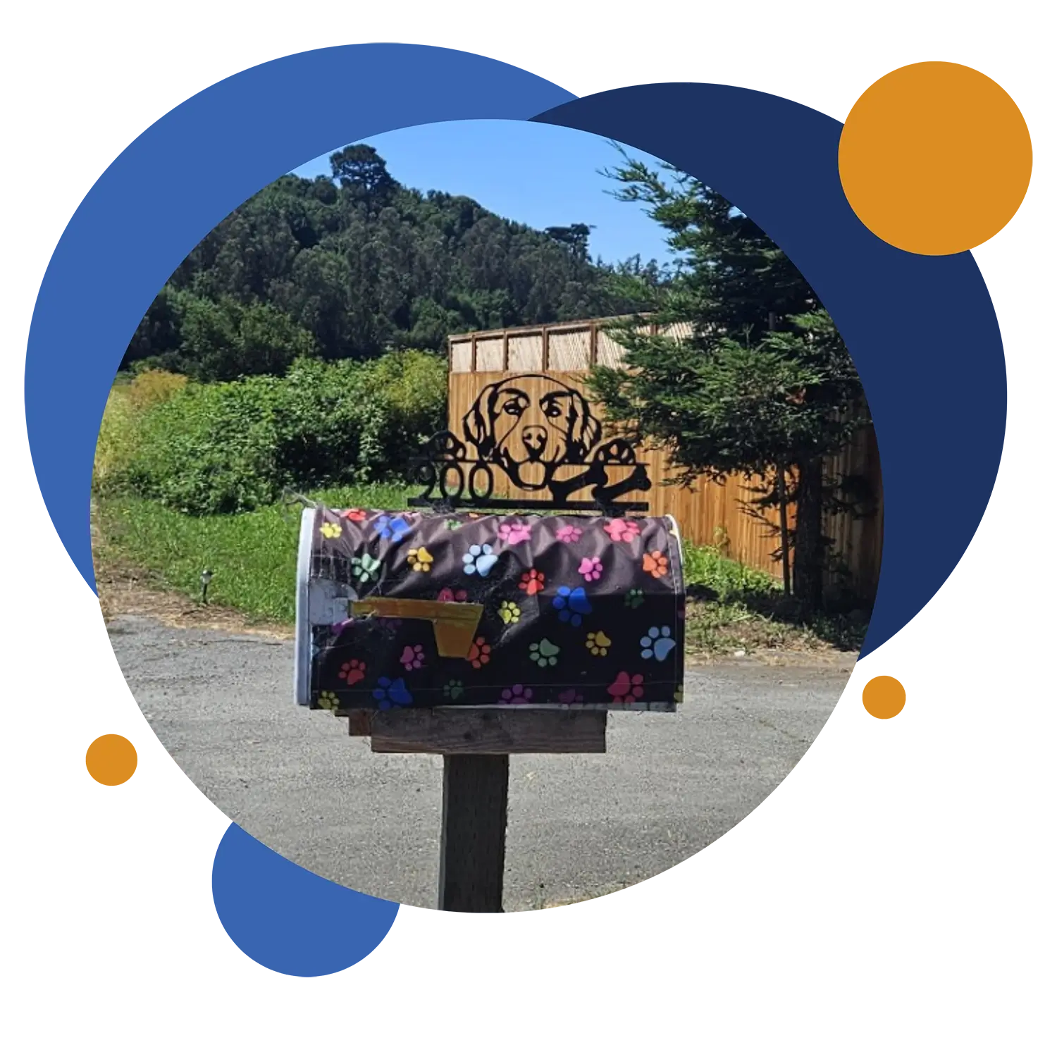 mailbox for sniff and wiggles dog daycare in petaluma california