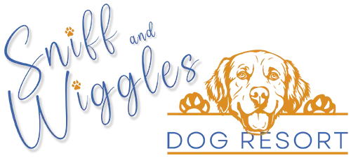 Sniff and Wiggles Dog Resort