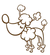 Petaluma daycare for dogs with special needs