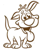 Special Needs Dog Daycare Petaluma